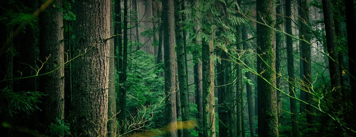 Afscheidsbegeleiding Lena Herbers in Ter Apel | Uitvaartonderneming | Vind de beste uitvaartondernemer