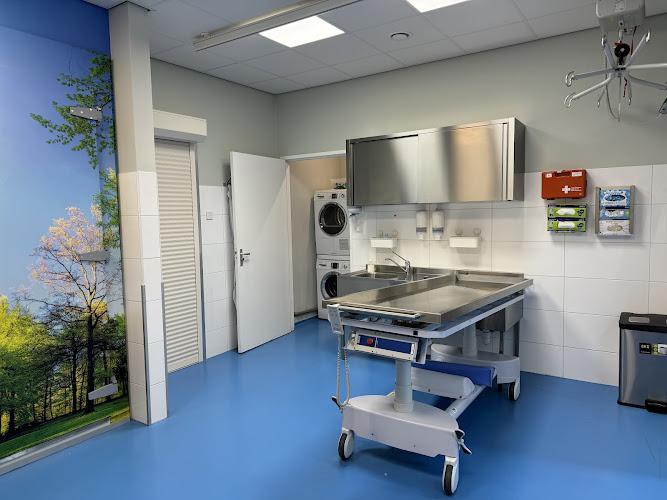 Al Firdaus Uitvaartzorg B.V. in Amsterdam | Afscheidsbegeleider | Vergelijk eerlijk