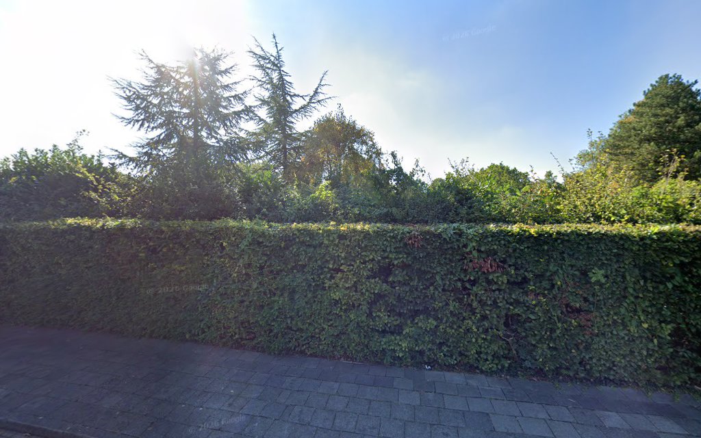 Algemene Begraafplaats in Maassluis | Uitvaartonderneming | Transparante tarieven