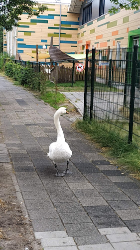 Algemene begraafplaats Wateringen | Uitvaartonderneming | Vergelijk eerlijk
