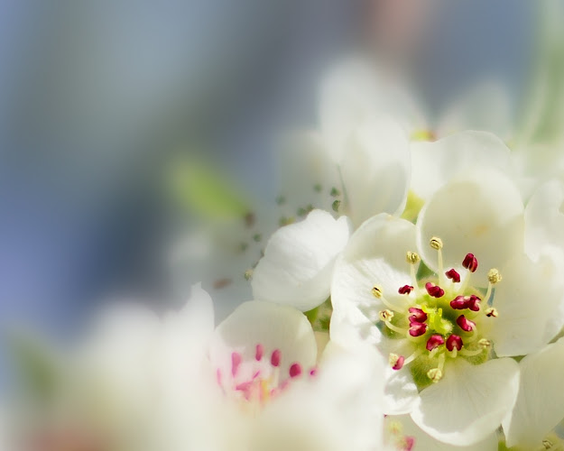 Aline de Graaf uitvaartzorg en -begeleiding in Leek | Afscheidsbegeleider | Vergelijk aanbieders in de regio