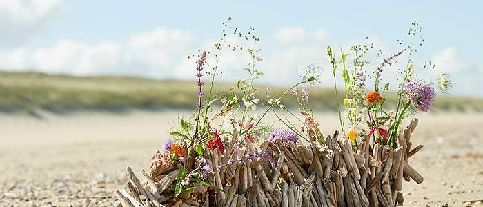 Anke Wattel Uitvaartzorg in Middelburg | Uitvaartzorg | Vind passende begeleiding