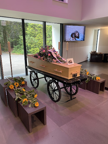 Ankh uitvaartzorg in Hoofddorp | Uitvaartonderneming | Vergelijk aanbieders in de regio