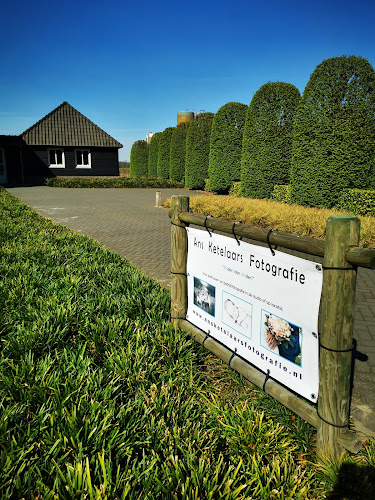 Ans Ketelaars Afscheidsfotografie & Ans in Knegsel | Afscheidsbegeleider | Uw zorggids in de regio