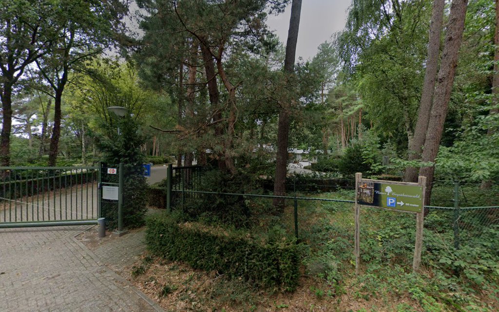 Asbeelden in Venlo | Uitvaartonderneming | Onafhankelijk vergelijker