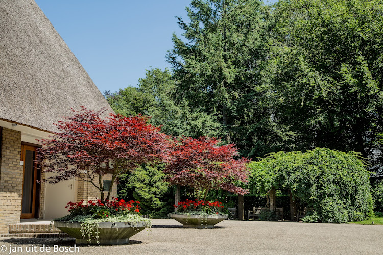 Begraafplaats Kranenburg in Zwolle | Begraafplaats | Vergelijk tarieven
