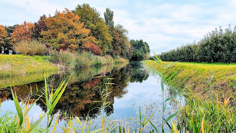 Begraafplaats Meteren | Uitvaartzorg | Vergelijk en bespaar