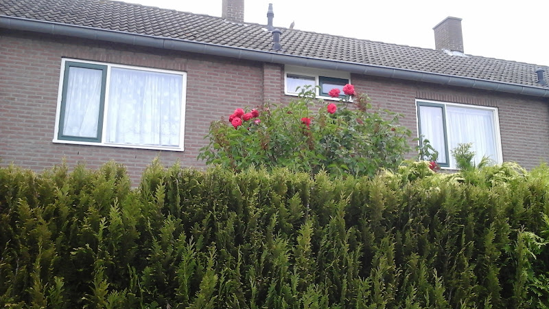 Begrafenisonderneming Van Haaften in Dinteloord | Uitvaartonderneming | Vergelijk tarieven