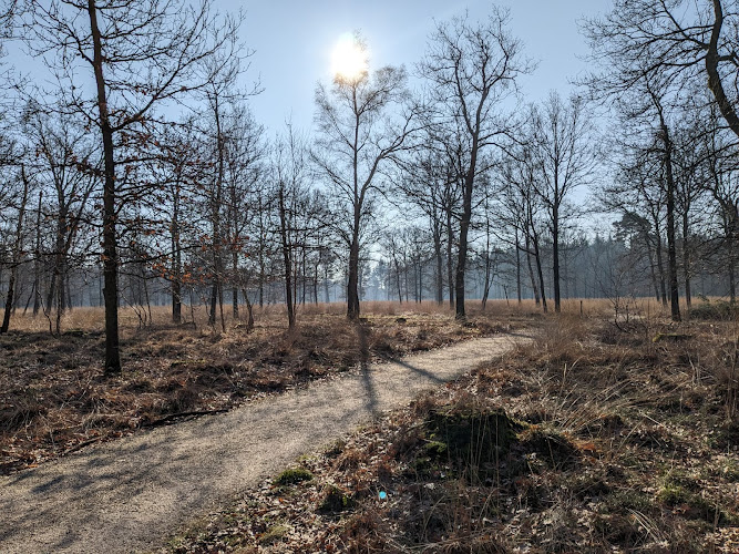 Begrafenisonderneming Verwijmeren in Zevenbergschen Hoek | Uitvaartzorg | Eerlijk en transparant