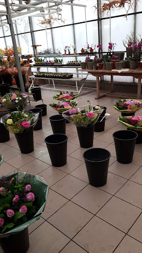 Bloemsierkunst Ilyas in Waspik | Bloemist | Vergelijk zorg & tarieven