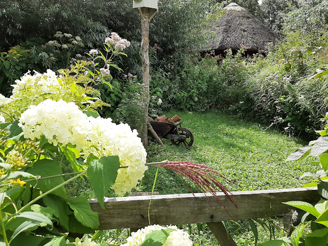 Brave Hendrik - Theetuin Eemnes | Uitvaartzorg | Keuzehulp uitvaartzorg