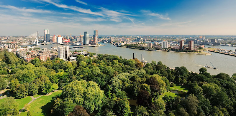 Budget Uitvaart Rotterdam in Hoogvliet Rotterdam | Uitvaartbegeleider | Vind de juiste uitvaartondernemer