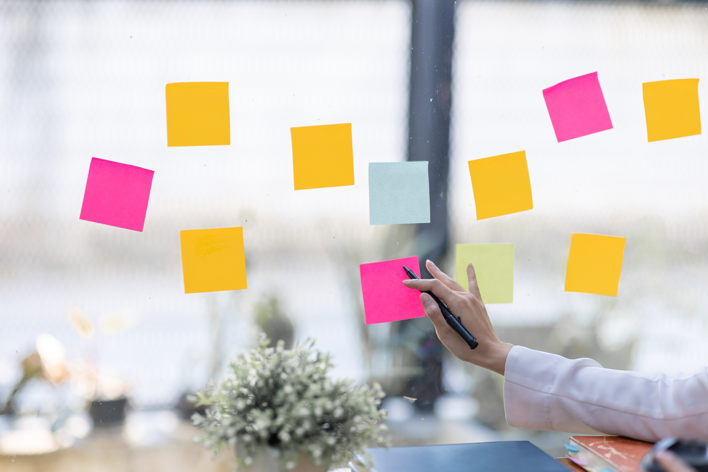 Studio Overzicht in Bloemendaal | Uitvaartzorg | Eerlijke vergelijking