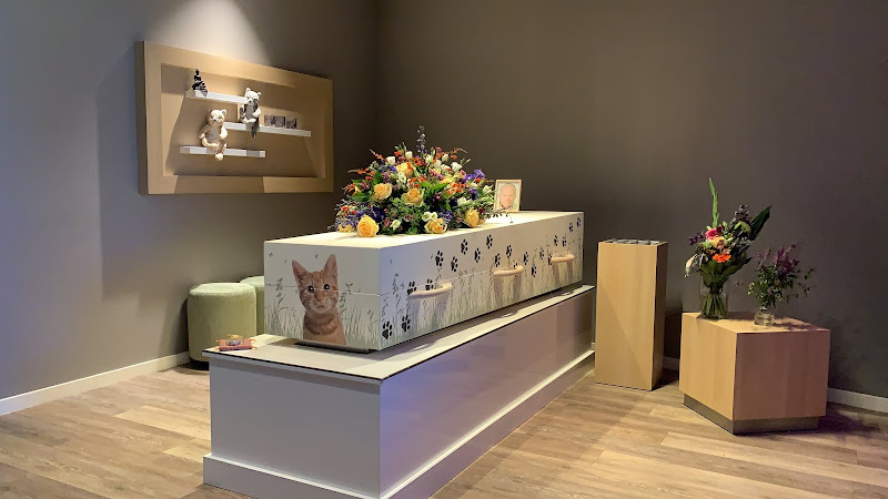 By Desley uitvaartzorg in Zoetermeer | Uitvaartverzorger | Vergelijk de beste bedrijven