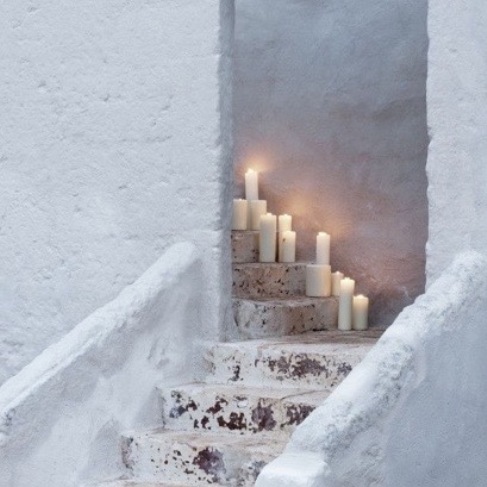 Cavalli Uitvaartbegeleiding in Bilthoven | Uitvaartbegeleider | Transparant en eerlijk