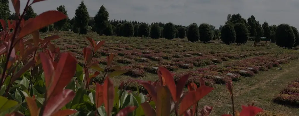Cgk/Ngk De Hoeksteen in Haren | Uitvaartverzorger | Eerlijk en transparant