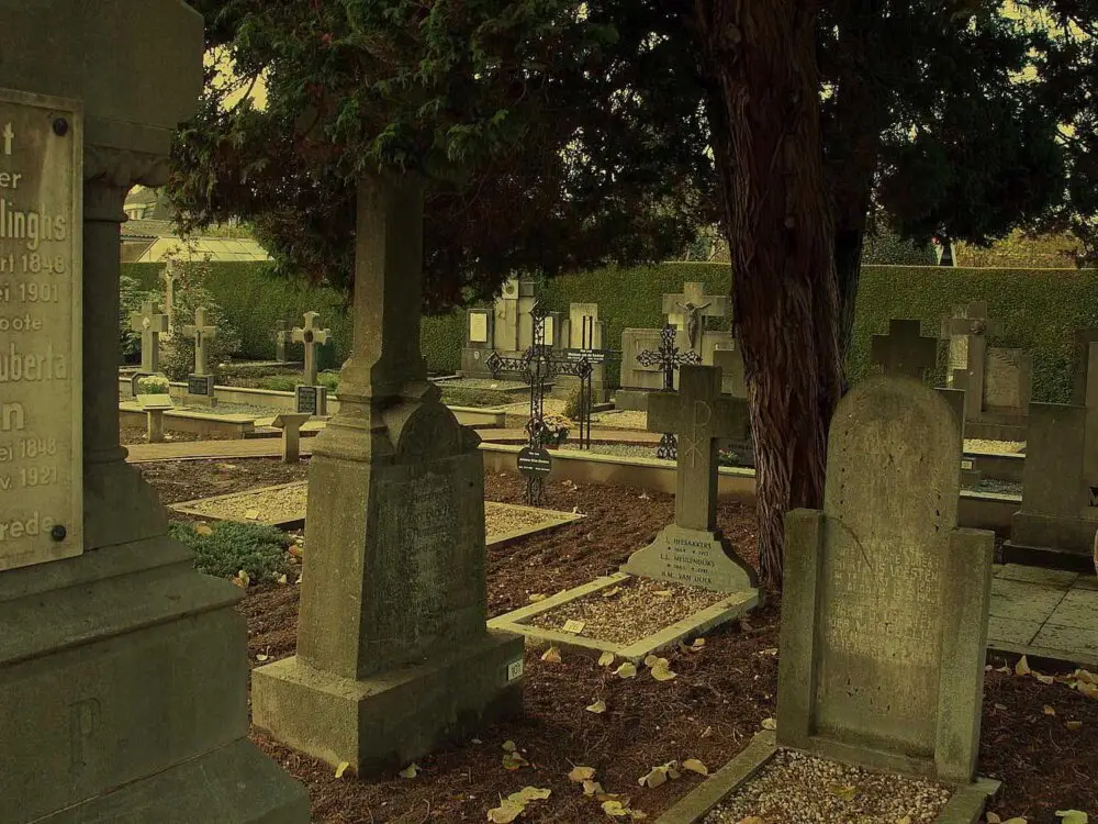 Christian Elementary School Betrouwen in Bakkeveen | Uitvaartzorg | Eerlijke vergelijking