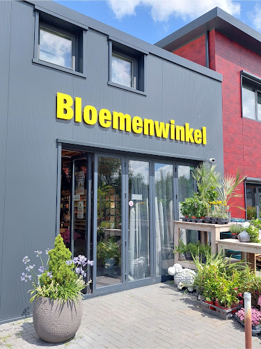 Crea-Fleur - Groenwereld in Heinenoord | Bloemist | Vergelijk aanbieders in de regio