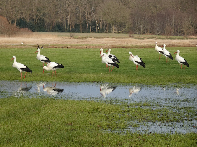 De Schiphorst (Noorderboog) in Meppel | Uitvaartzorg | Vergelijk eerlijk