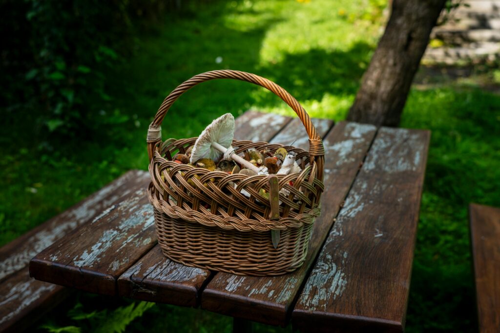 Duurzame uitvaartkist: Van wilgentenen tot paddenstoelen kist