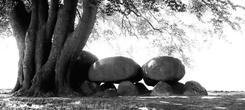 Ellen Nooren Uitvaartverzorging in Tynaarlo | Uitvaartbegeleider | Transparante tarieven