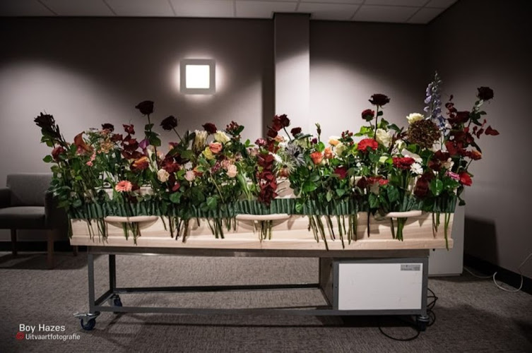 Ester van den hoek Uitvaart in Valkenswaard | Uitvaartzorg | Vergelijk en bespaar