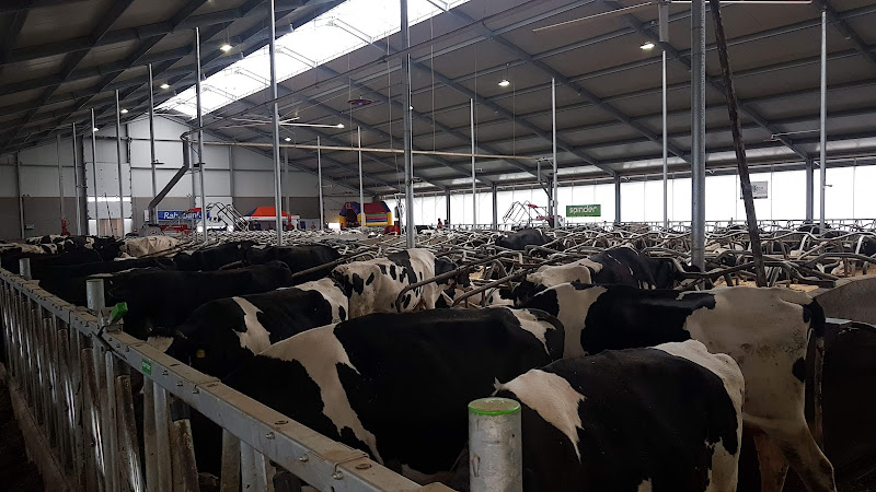 Ettikhoven Decoratie in Alphen aan den Rijn | Bloemist | Vergelijk eerlijk