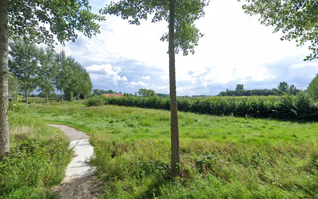 Extra Hulp bij Overlijden in Sint-Oedenrode | Uitvaartbegeleider | Keuzehulp uitvaartzorg