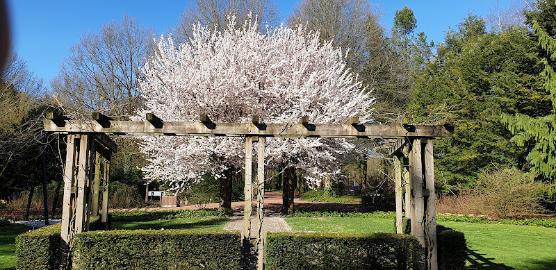 Gemeentelijke begraafplaats "De Hoge Boght" in Veldhoven | Crematorium | Vind de juiste uitvaartondernemer