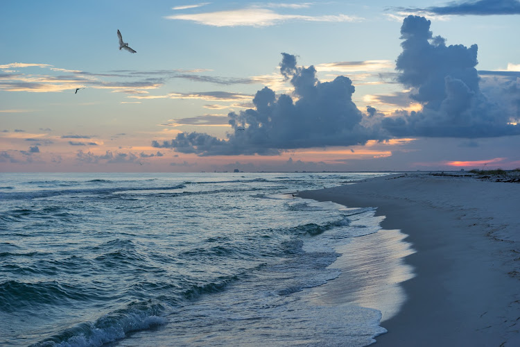 Getijden Uitvaartzorg in Haarlem | Uitvaartzorg | Vergelijk de beste bedrijven