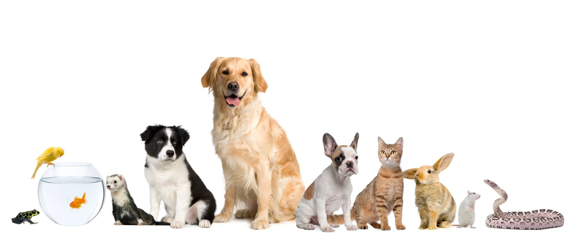 Brenda Molenaar Uitvaartzorg voor mens en dier in Wormerveer | Uitvaartverzorger | Vergelijk de beste bedrijven