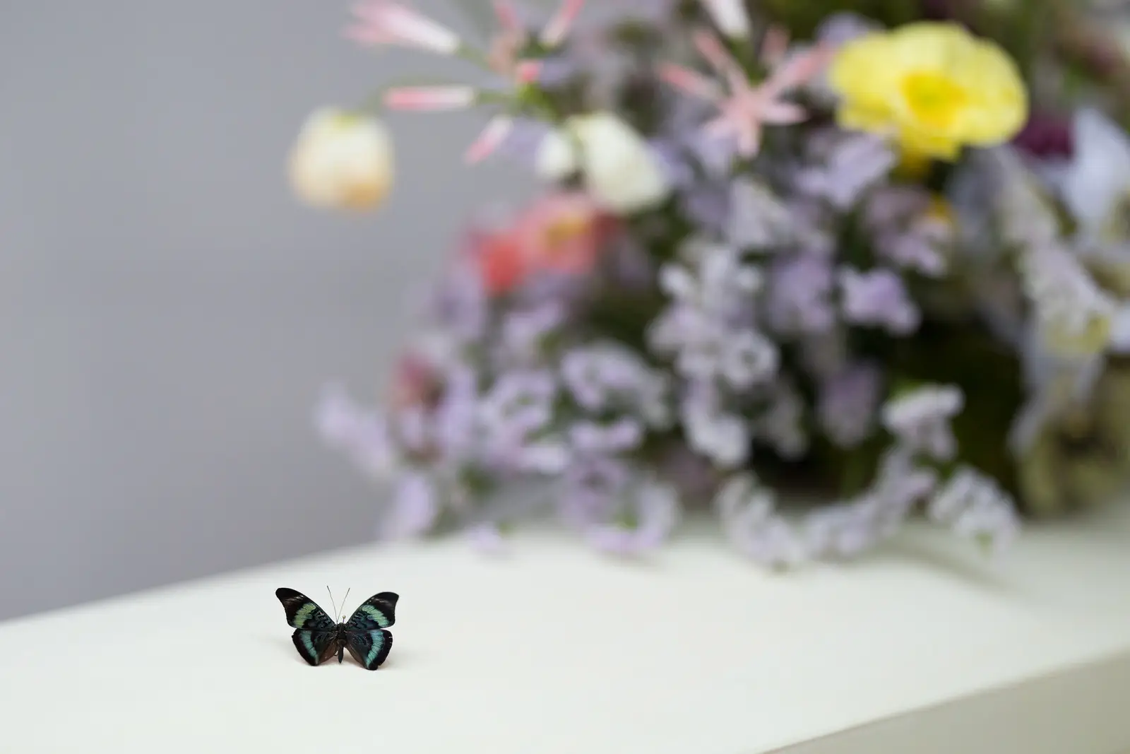 Harmke Rekker Uitvaartverzorging in Westergeast | Uitvaartonderneming | Eerlijk en transparant