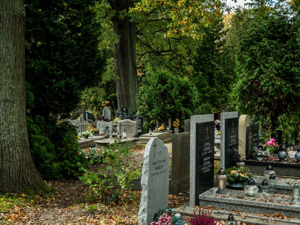 Herdenkingsboom planten: Een groeiend eerbetoon met de as