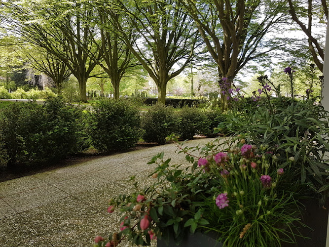  Caro's Uitvaartbegeleiding in Goes | Uitvaartonderneming | Vind de juiste uitvaartondernemer