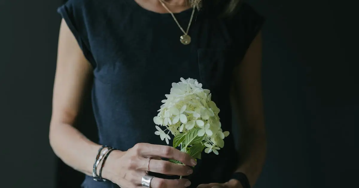 Ilya uitvaartzorg Zwolle | Begrafenisverzorging | Transparante tarieven