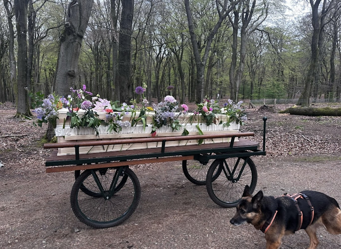 Immanuel Baan Uitvaartbegeleiding in Amersfoort | Uitvaartzorg | Eerlijk en transparant