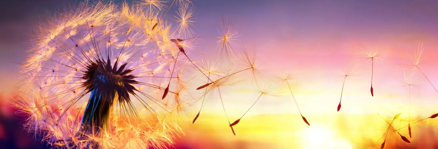 Integer Uitvaartzorg in Hardenberg | Uitvaartzorg | Onafhankelijk vergelijker