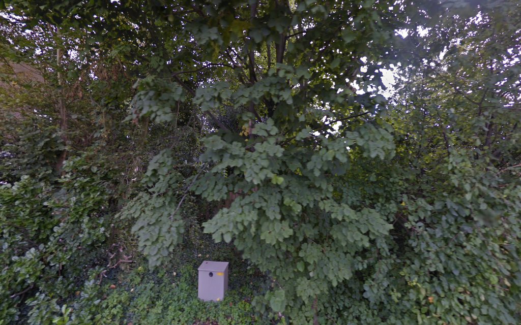 Karin Kuijpers Ritueelbegeleiding in Veghel | Afscheidsbegeleider | Eerlijke vergelijking