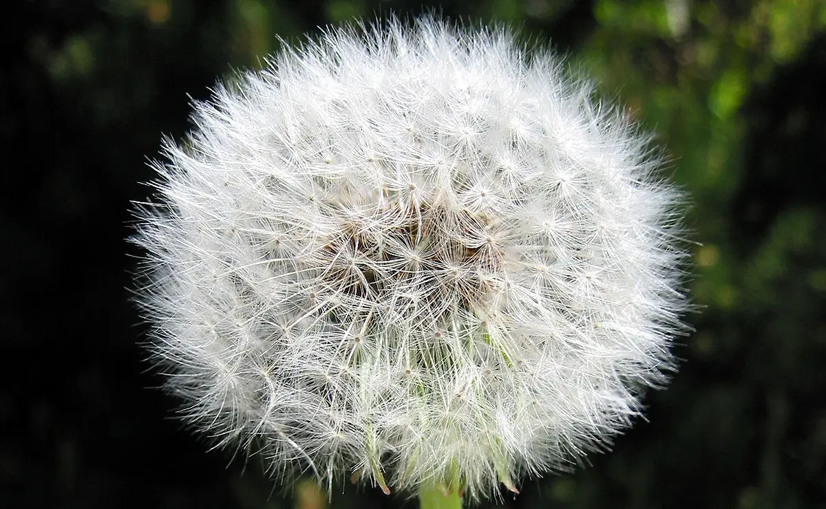 Karin spreekt; uitvaartspreker en trouwambtenaar in Vroomshoop | Uitvaartverzorger | Vergelijk diensten en tarieven