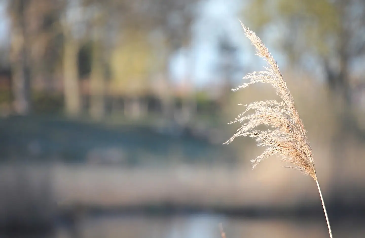 Kaspersma Uitvaartkistenfabriek B.V. in Dokkum | Uitvaartonderneming | Wij helpen u kiezen