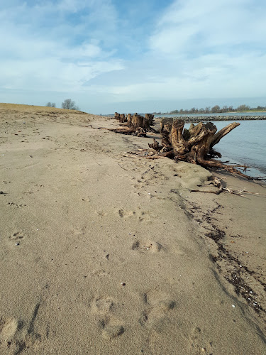 Kloe Begrafenisonderneming in Gameren | Begrafenisonderneming | Vergelijk eerlijk