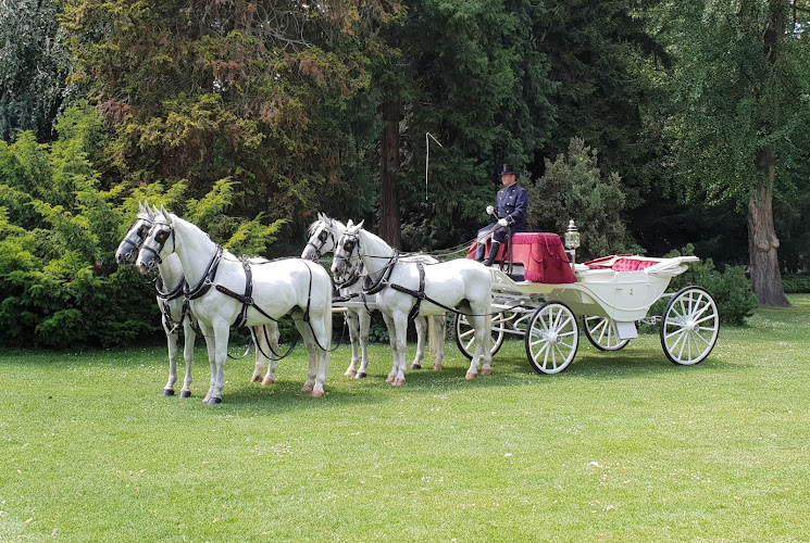 Koetsen.nl - Jacob van den Broek koets verhuur in Nijkerk | Uitvaartbegeleider | Uw gids voor uitvaarten