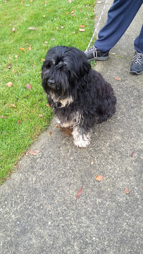 Kolleweidenhof B.V. in Heelweg | Afscheidsbegeleider | Transparant en eerlijk