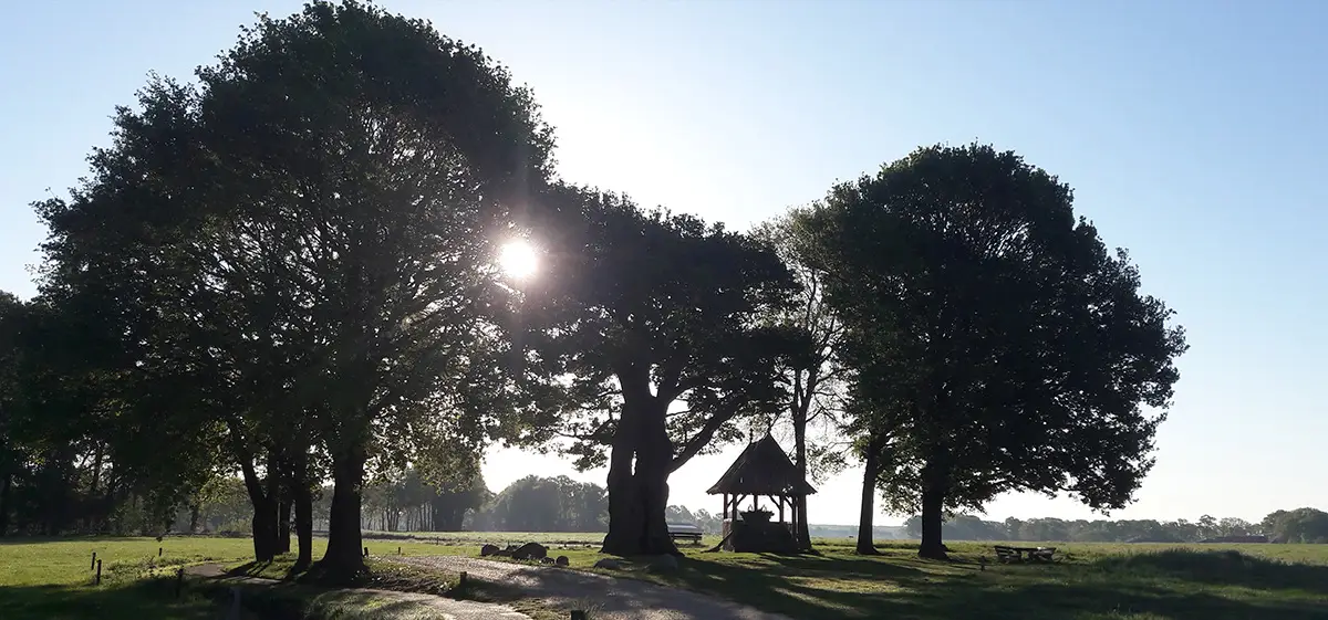 Konink Uitvaartbegeleiding in Borne | Bloemist | Keuzehulp uitvaartzorg