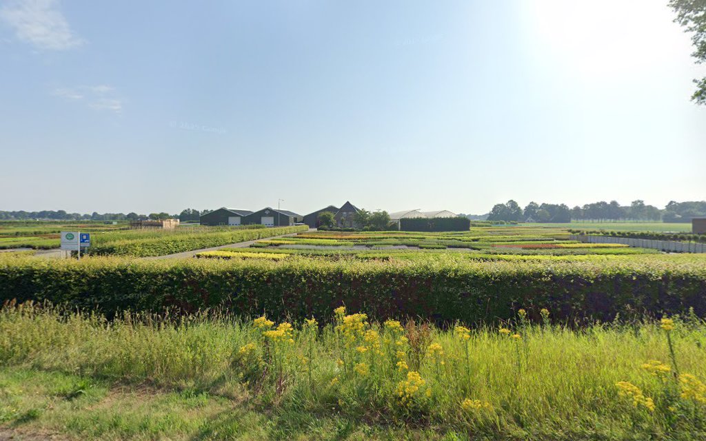 Kwekerij Collendoorn V.O.F. | Uitvaartbegeleider | Vergelijk en bespaar