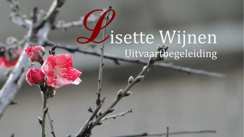 Lisette Wijnen Uitvaartbegeleiding in Eersel | Uitvaartbegeleider | Vind passende begeleiding