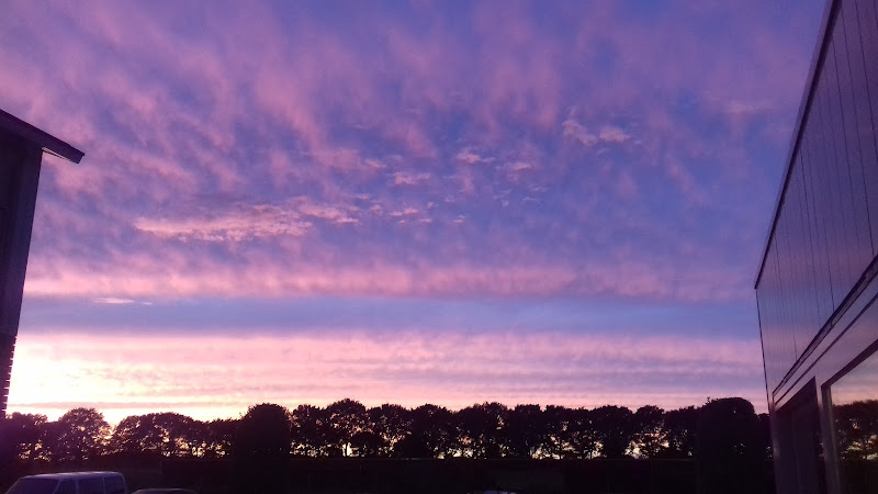 Locatie Wilhelminaoord | Uitvaartbegeleider | Onafhankelijk vergelijker