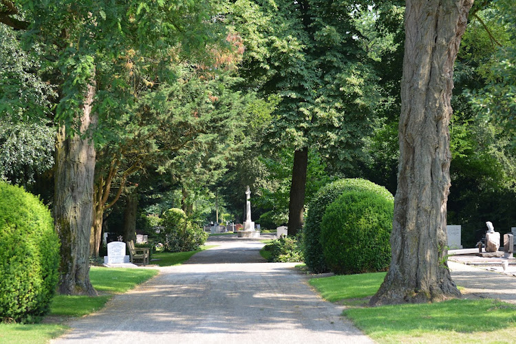 Luisterend Oor in Harderwijk | Uitvaartzorg | Uw gids voor uitvaarten