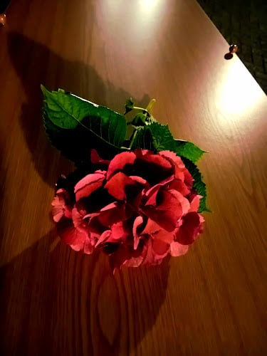 Maestro-Uitvaarders in Wassenaar | Afscheidsbegeleider | Vergelijk tarieven