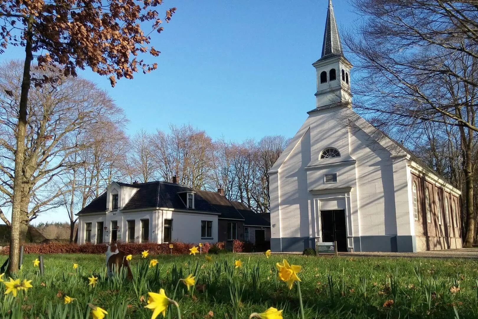 Maria Geboortekerk in Dronryp | Uitvaartbegeleider | Vergelijk tarieven